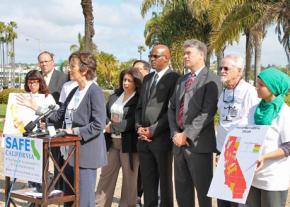 SAFE Act supporters hold a press conference to announce the referendum on the 2012 ballot