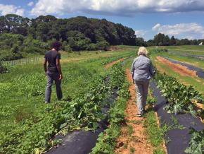 Forsyth FoodWorks in North Carolina